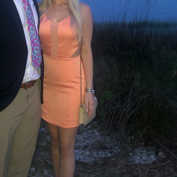 🧡 NBD from revolve cut out mesh dress 🧡 - Picture 2 of 8